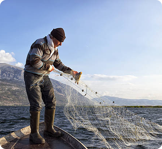 Comprehensive Databases